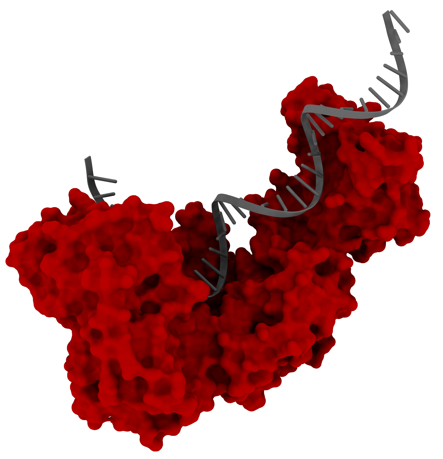 TargetEx Rapid Reverse Transcriptase 2 mg/mL