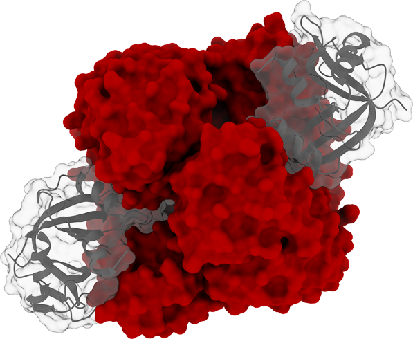 TargetEx RibonEx RNase Inhibitor 40 U/µL (with NaCl)