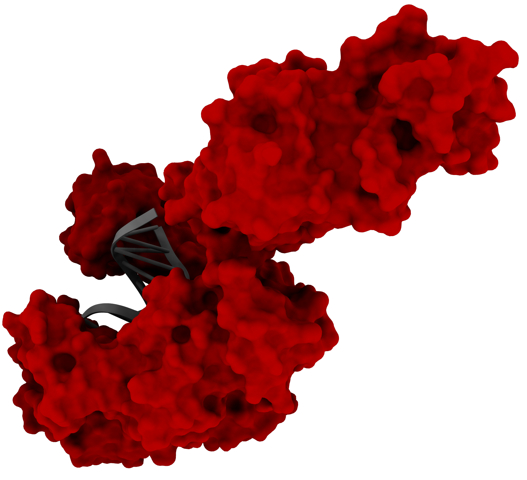 TargetEx Fine Taq Polymerase 1 mg/mL