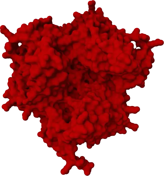 TargetEx ASFV qPCR Diagnostic Kit