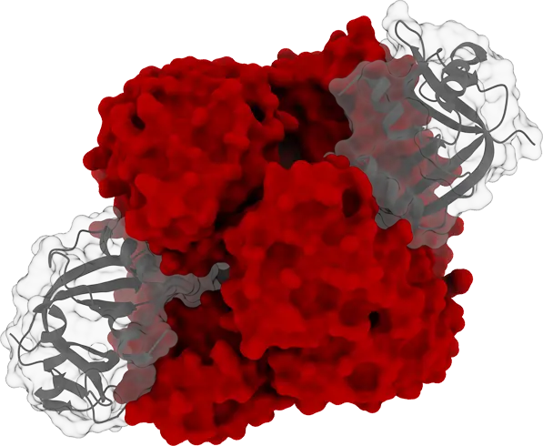 TargetEx RibonEx RNase Inhibitor 40 U/µL (with NaCl)