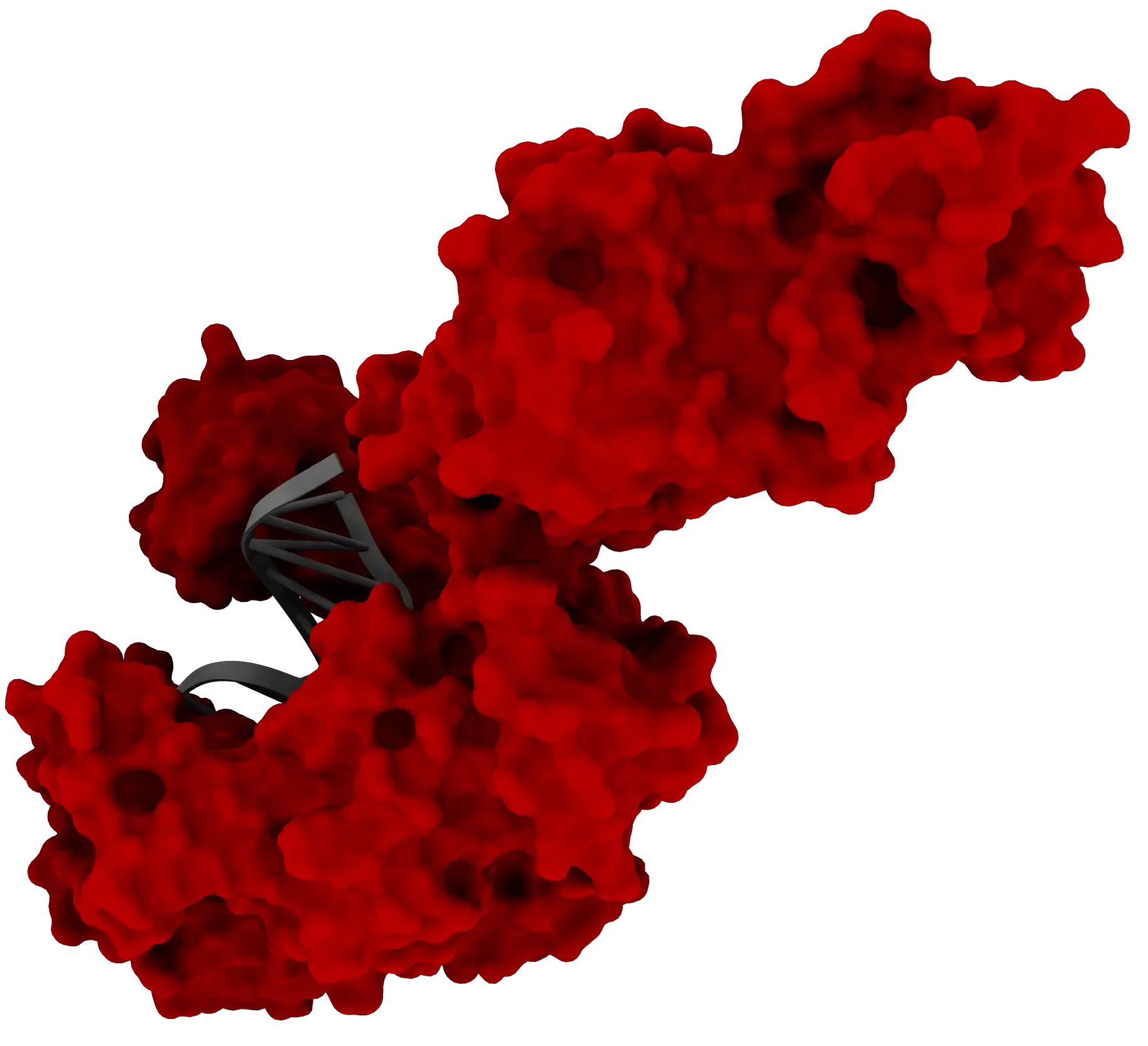 TargetEx Fine Taq Polymerase 1 mg/mL